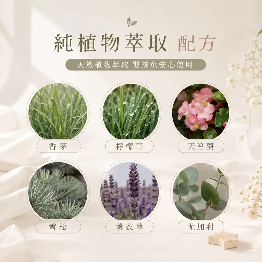 植物精油爆珠貼 15入