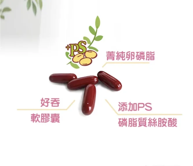成分