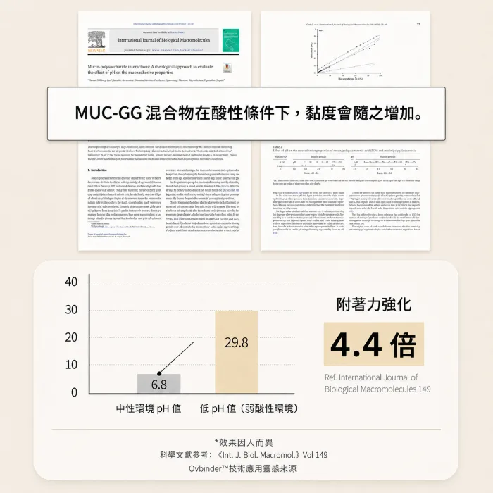 什麼時候怎麼用