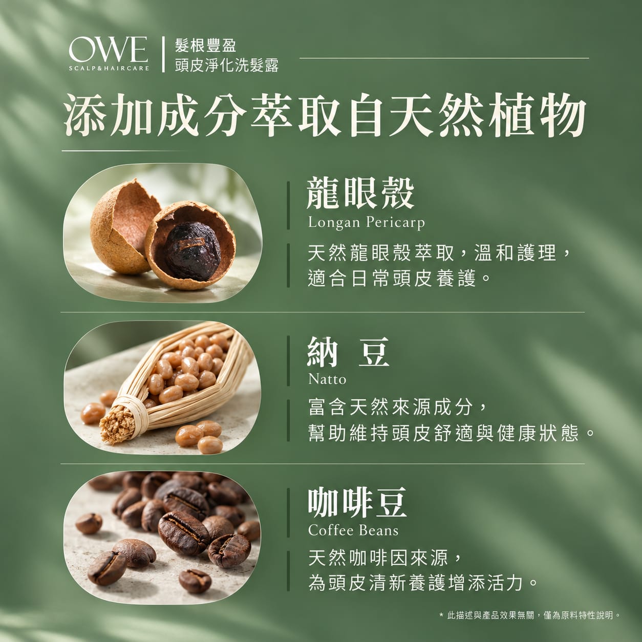 髮根豐盈頭皮淨化洗髮露500ml